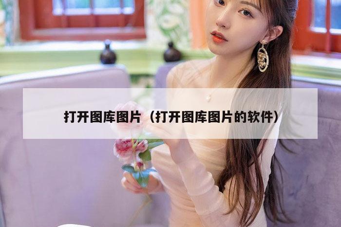 打开图库图片（打开图库图片的软件）
